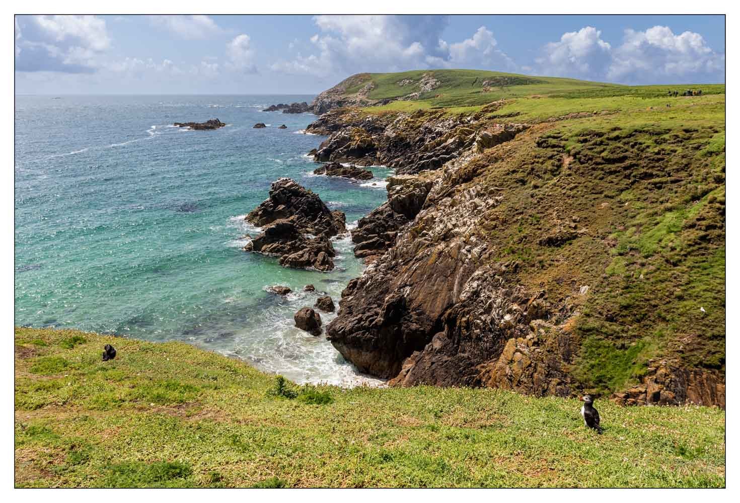 Saltee Island (Irlande)