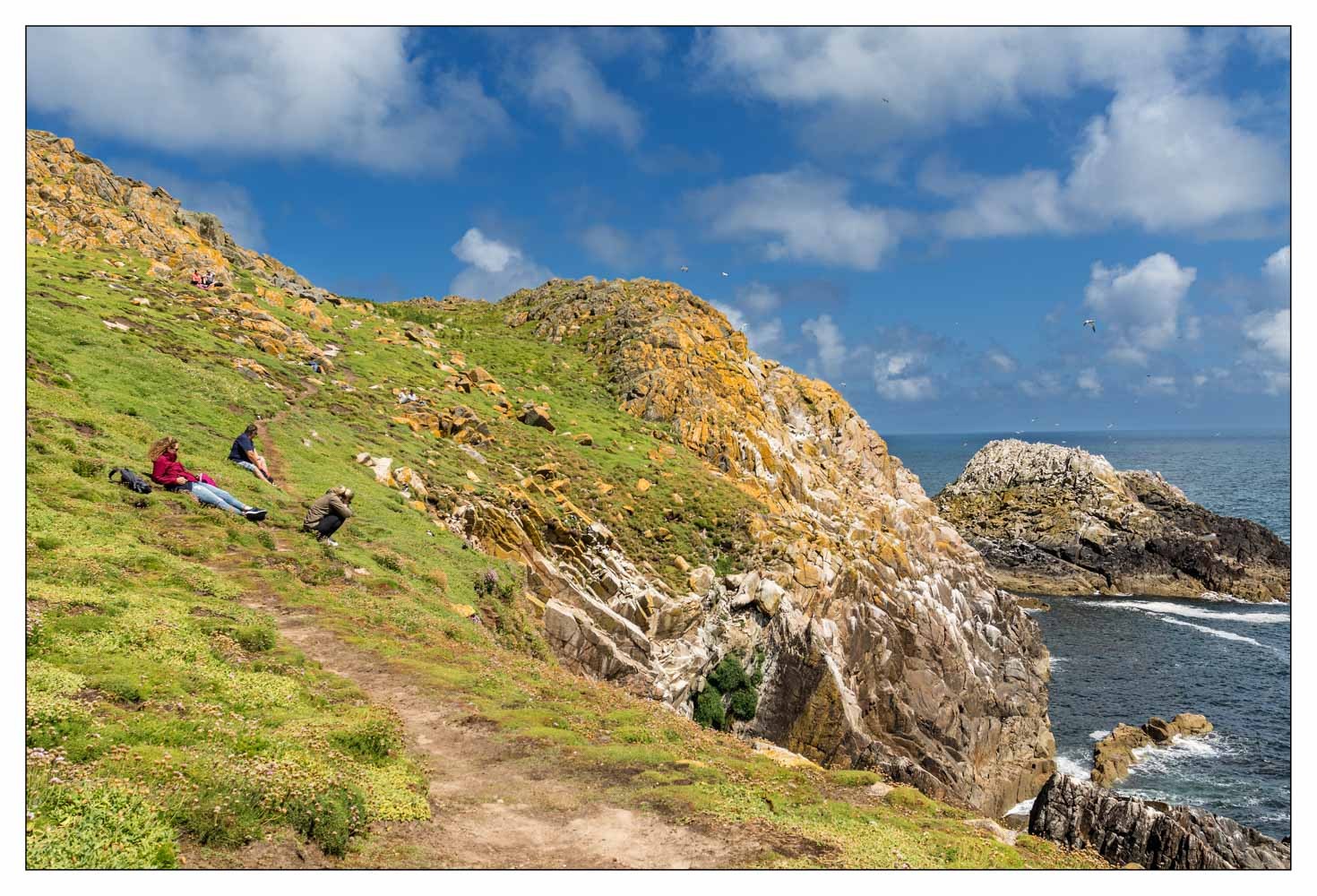 Saltee Island (Irlande)